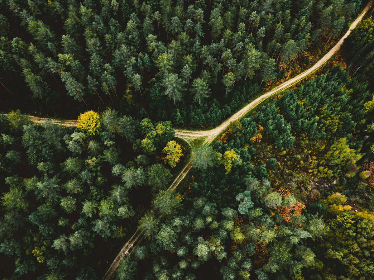 Environment Issues